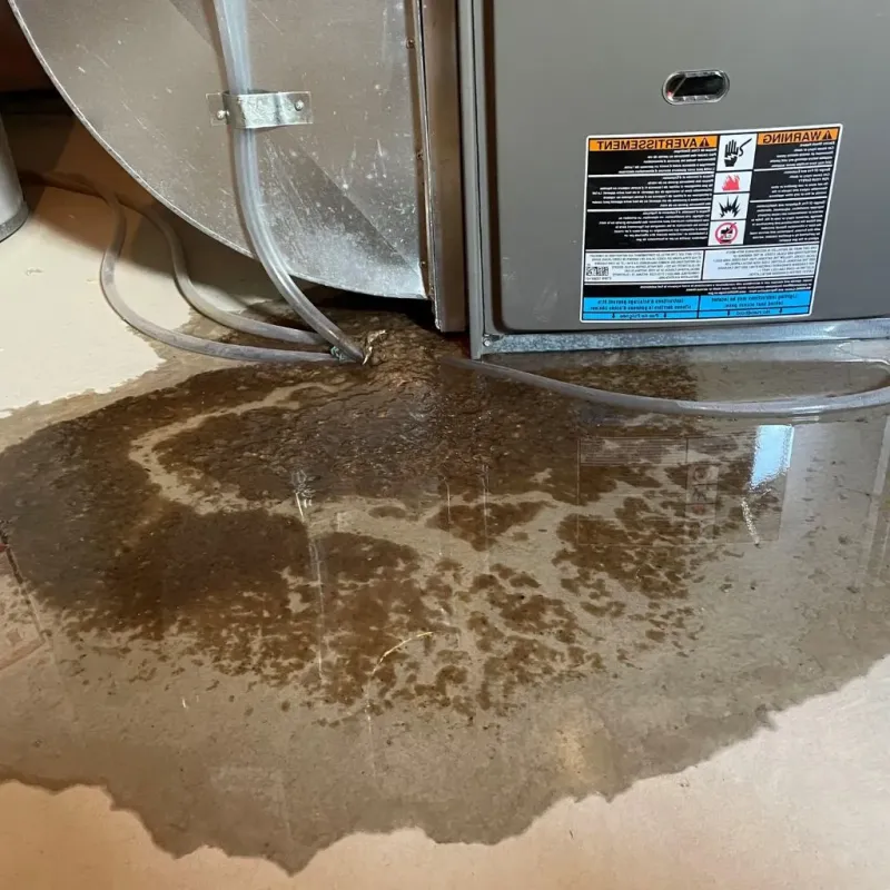 Pipe Burst and Leak Restoration in Chester Heights, PA